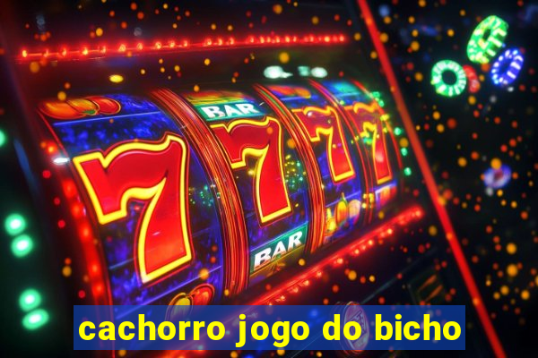 cachorro jogo do bicho